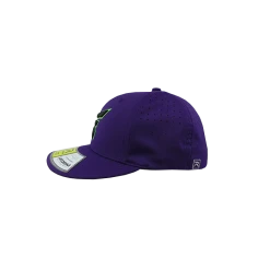 Kelly's Ultimate Sports Easton Hat By Richardson (PTS30) All Purple/Neon Green/Black -Gloves shop 12hat east rich blk wht ppl 2